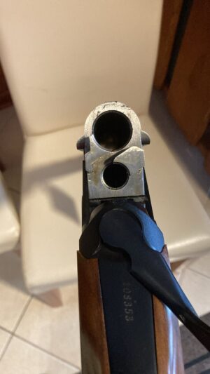 Rizzini Omnium