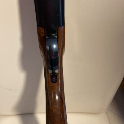 Rizzini Omnium